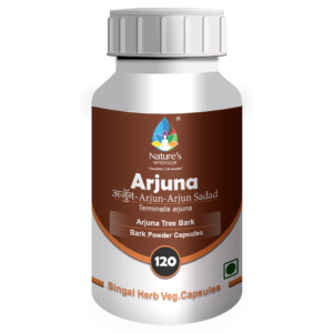 Arjuna