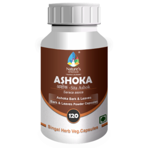 Ashoka
