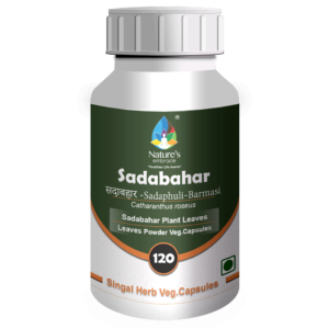 Sadabahar