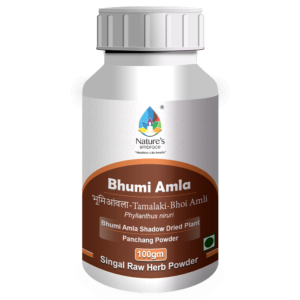 Bhumi Amla