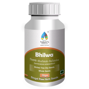Bhilwa