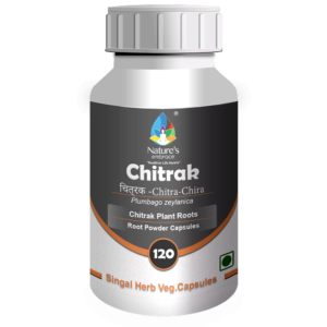 Chitrak