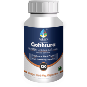Gokhsura