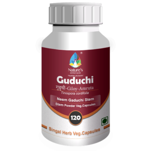 Guduchi