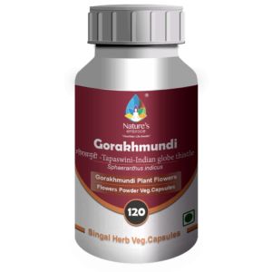 Gorakhmundi