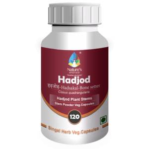Hadjod