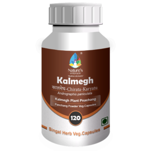 Kalmegh