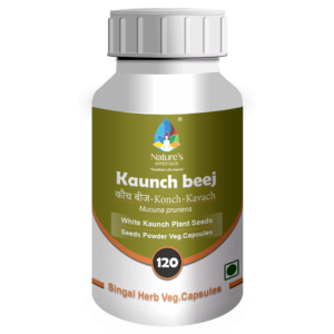 Kaunch