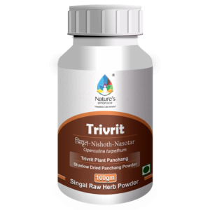Trivrit