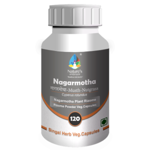 Nagarmotha
