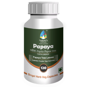 Papaya Leaves
