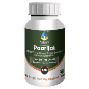 Paarijat