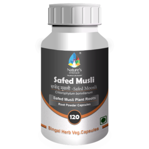 Safed Musli