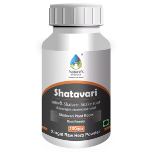 Shatavari root