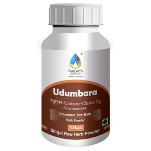 Udumbar