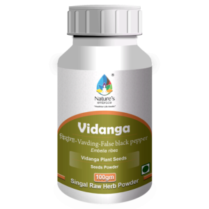 Vidanga