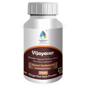 Vijaysar