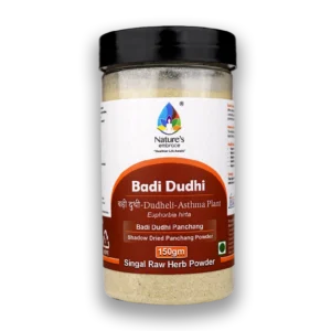 Badi Dudhi