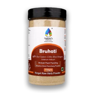 Bruhati