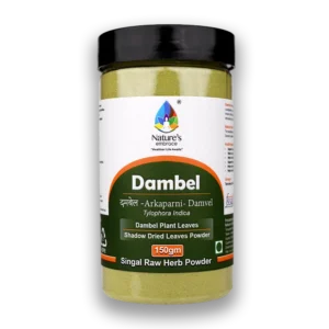 Damvel