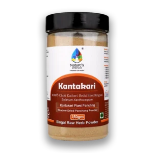 Kantakari