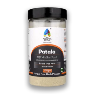 Patala