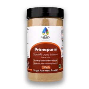 Prisnaparni