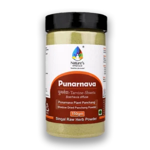 Punarnava