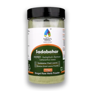 Sadabahar