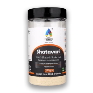 Shatavari root
