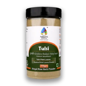 Tulsi leaf
